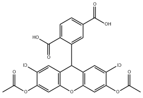 6-Carboxy-H2DCFDA 6-Carboxy-H2DCFDA