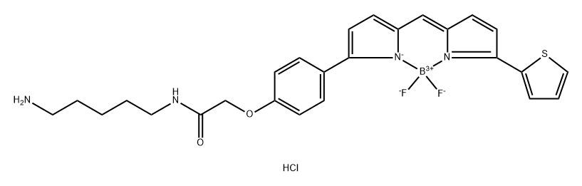 氟化硼二吡咯 TR CADAVERINE 氟化硼二吡咯 TR CADAVERINE