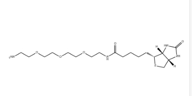 (+)-Biotin-PEG3-CH2CH2NH2 (+)-Biotin-PEG3-CH2CH2NH2