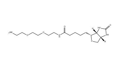 （+）-Biotin-PEG2-CH2CH2NH2