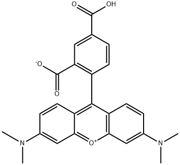 5-TAMRA 5-TAMRA