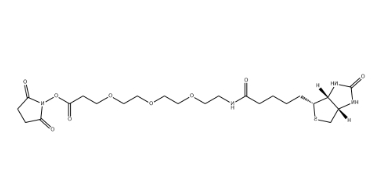 （+）-Biotin-PEG3-NHS Ester