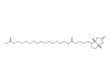 (+)-Biotin-PEG4-CH2CH2COOH (+)-Biotin-PEG4-CH2CH2COOH