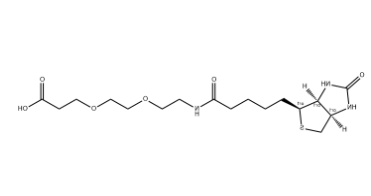 （+）-Biotin-PEG2-CH2CH2COOH