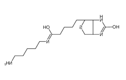 生物素-C5-胺 