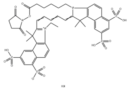 Cy5.5 N-羟基琥珀酰亚胺酯 Cy5.5 N-羟基琥珀酰亚胺酯