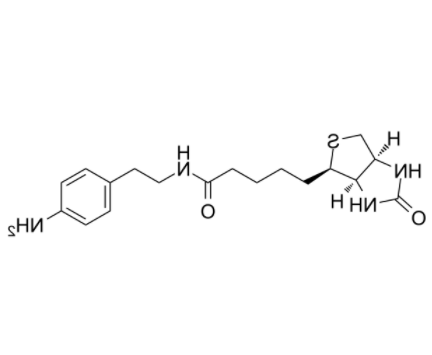 Biotin-aniline 