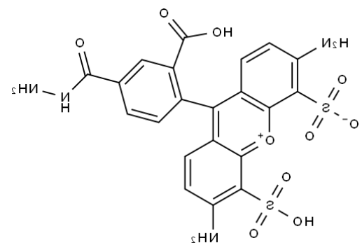 	BP Fluor 488 Hydrazide 