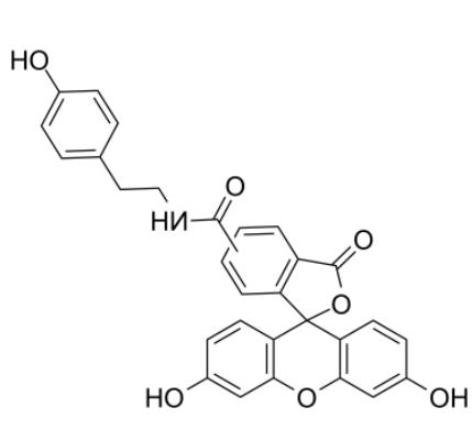 Fluorescein tyramide 