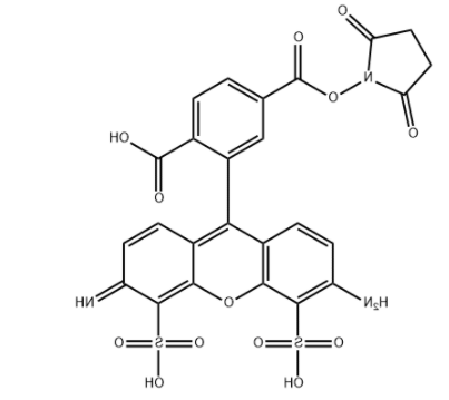 AF 488 NHS ester 