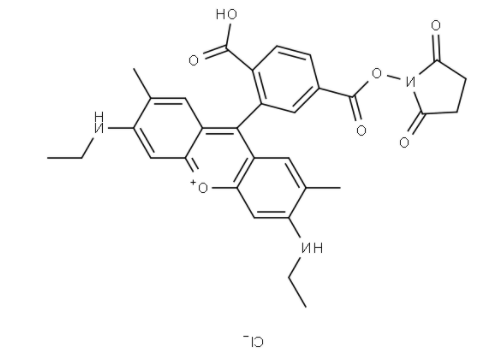 6-罗丹明6G-NHS 活化酯 6-罗丹明6G-NHS 活化酯