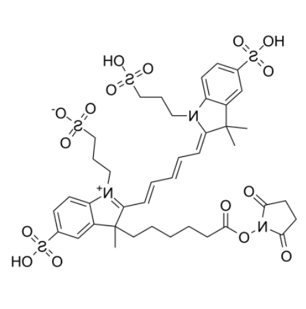 AF647-NHS ester 