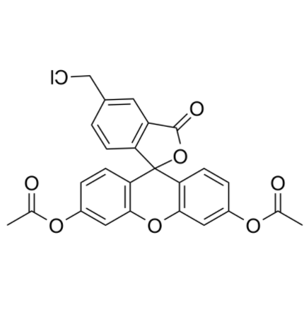 5-氯甲基荧光素二乙酸酯	 