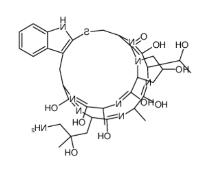 ((R)-4-Hydroxy-4-methyl-Orn⁷)-Phalloidin 