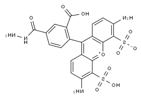 BP Fluor 488 Hydrazide BP Fluor 488 Hydrazide