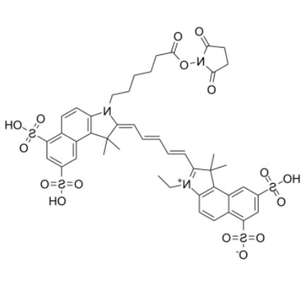 Cy5.5-N-羟基琥珀酰亚胺酯 