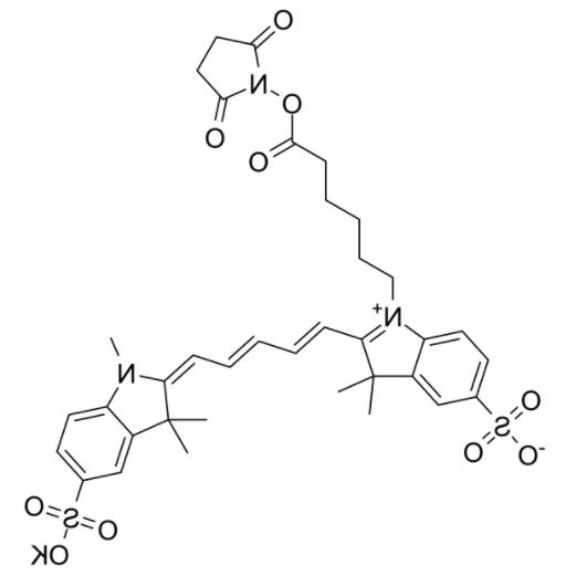 磺基花青5 NHS酯 磺基花青5 NHS酯