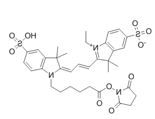 CY3-NHS酯 CY3-NHS酯