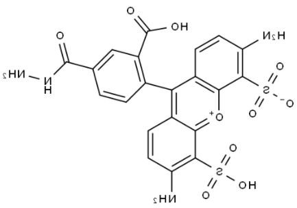 BP Fluor 488 Hydrazide BP Fluor 488 Hydrazide