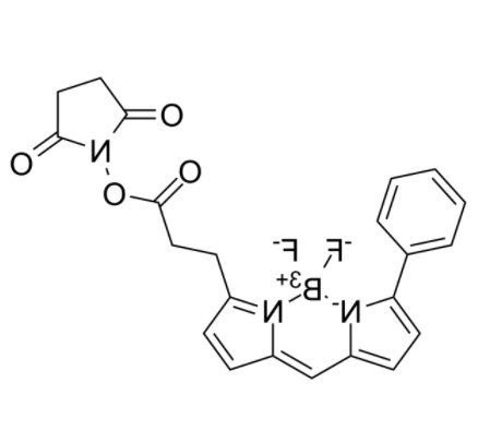 BIODIPY R6G ester 