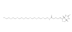 Biotin-PEG7-OH