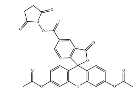 5-diacetate FAM NHS 5-diacetate FAM NHS