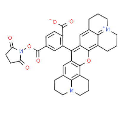 6-ROX NHS 活化酯 6-ROX NHS 活化酯