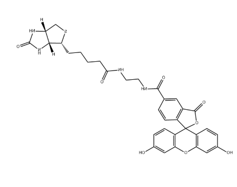 Biotin-4-fluorescein
