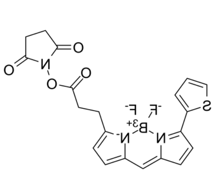 BDP 558/568 NHS ester 