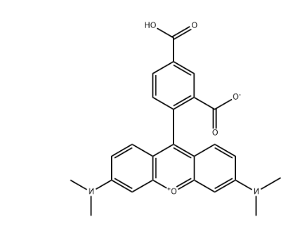5-Carboxytetramethylrhodamine