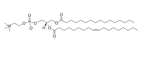 16:0-18:1 PC，CAS:26853-31-6，磷脂酰胆碱