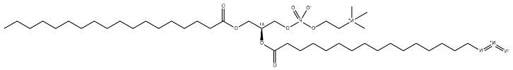 18:0-16:0 (16-Azido) PC，CAS:2456348-93-7，硬脂酰-棕榈酰16-叠氮磷脂酰胆碱