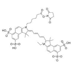 Sulfo-Cy5.5-E 琥珀酰亚胺酯 Sulfo-Cy5.5-E 琥珀酰亚胺酯