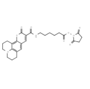 AF 343 (香豆素) X活性酯