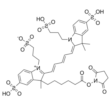AF647-NHS ester 