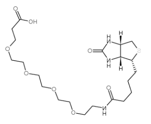 生物素-PEG24-酸