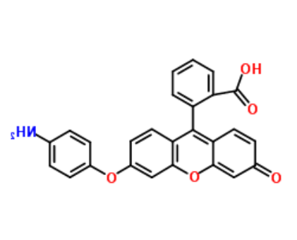 Aminophenyl Fluorescein Aminophenyl Fluorescein