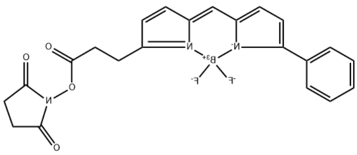 BODIPY-R6G-NHS Ester BODIPY-R6G-NHS Ester
