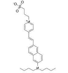 Di-4-ANEPPS Di-4-ANEPPS