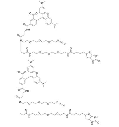 TAMRA-Biotin-N3 TAMRA-Biotin-N3