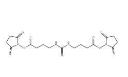 Urea-crosslinker C4-succinimide（CAS：1240387-33-0）