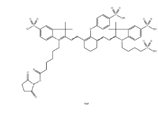 IRDye&nbsp;800&nbsp;NHS ester