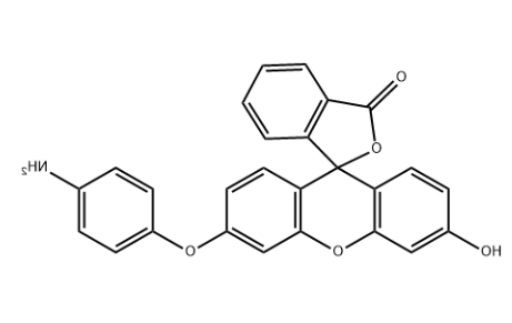 Aminophenyl fluorescein