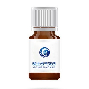 8arm-PEG-TCO 