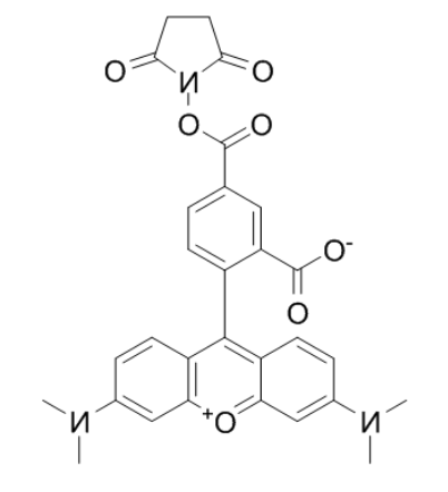 5-TAMRA-SE 5-TAMRA-SE