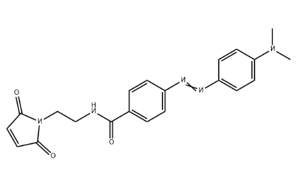 DABCYLC2马来酰亚胺	 
