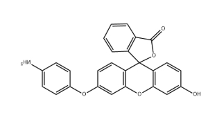 Aminophenyl fluorescein（APF）