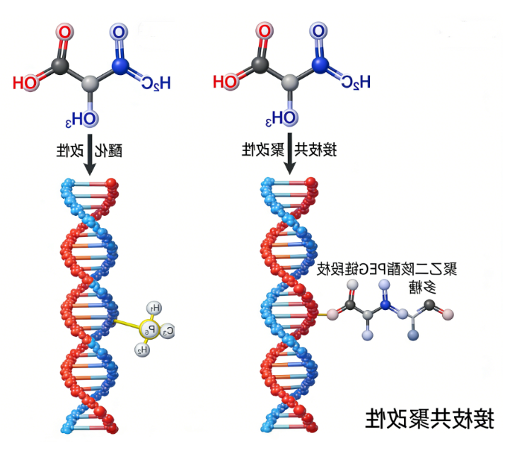 多糖改性
