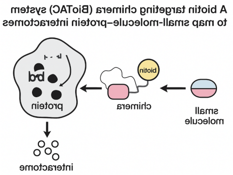 BioTAC