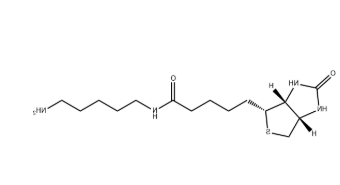 Biotin-C5-amine